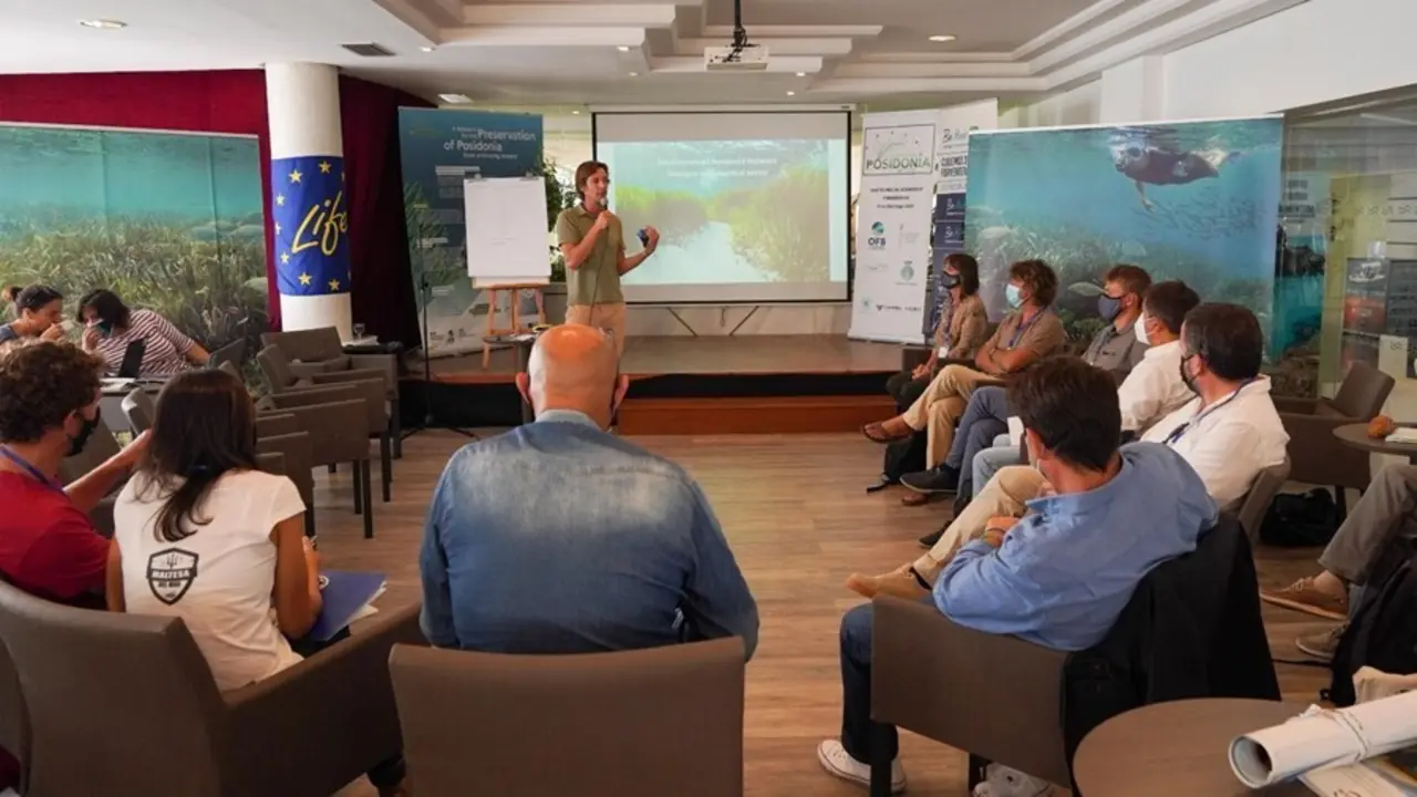 El primer encuentro presencial de la Red Mediterr&aacute;nea para la Posidonia.