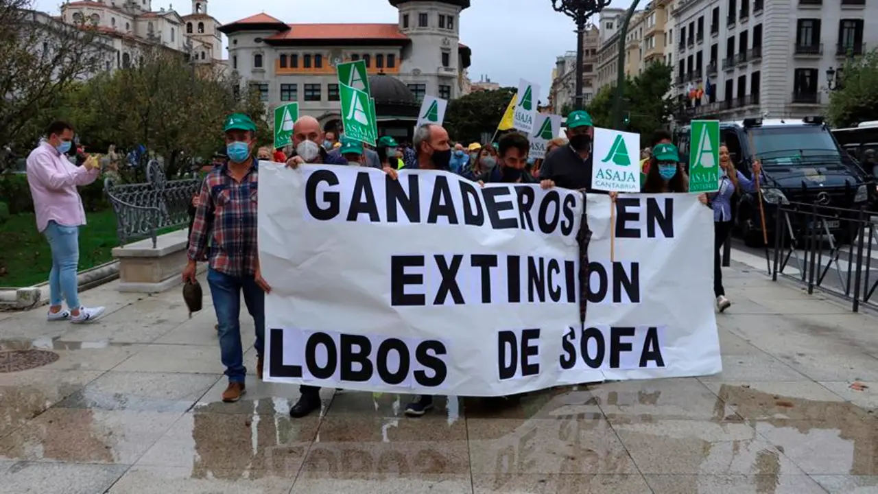 Manifestaci&oacute;n de los ganaderos c&aacute;ntabros que tiene lugar este lunes en los Jardines de Pereda, coincidiendo con la visita a Santander del presidente del Gobierno, Pedro S&aacute;nchez, al que piden que se retire la nueva protecci&oacute;n del lobo ib&eacute;rico. EFE/Celia Ag&uuml;ero Pereda
