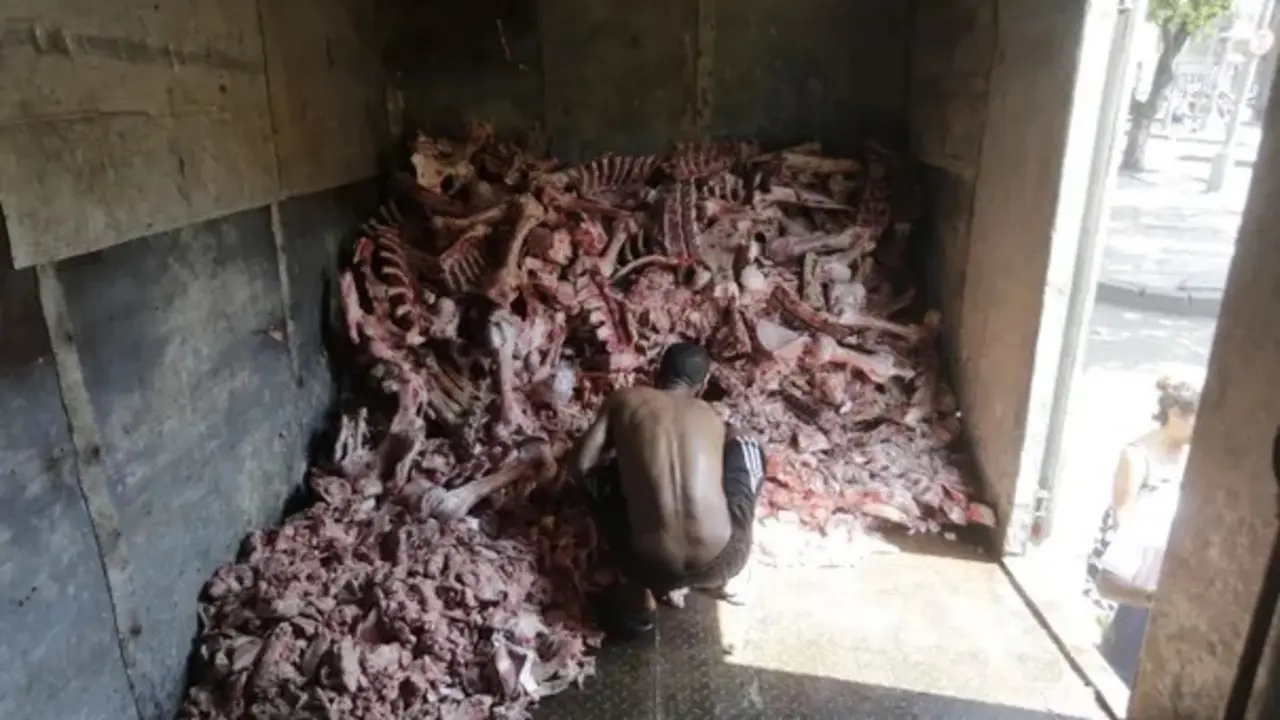 A man scavenges through animal carcasses for food in Rio. Photograph: Domingos Peixoto/Ag&ecirc;ncia O Globo