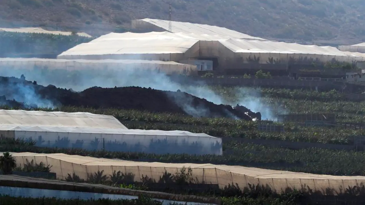 Vista de la cabeza de la colada norte del volc&aacute;n de La Palma que avanza entre plataneras acerc&aacute;ndose a la costa de Tazacorte en la isla de La Palma este lunes. EFE/ Elvira Urquijo A.
