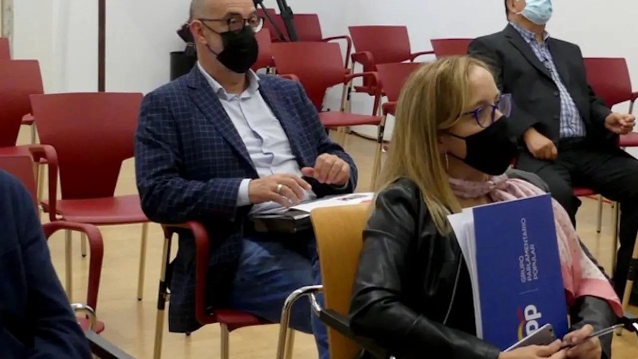 La diputada regional del PP Isabel Urrutia.
