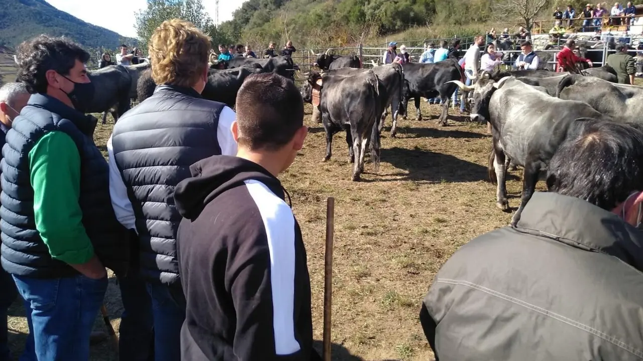 Asistentes a la Feria Ganadera de Potes.