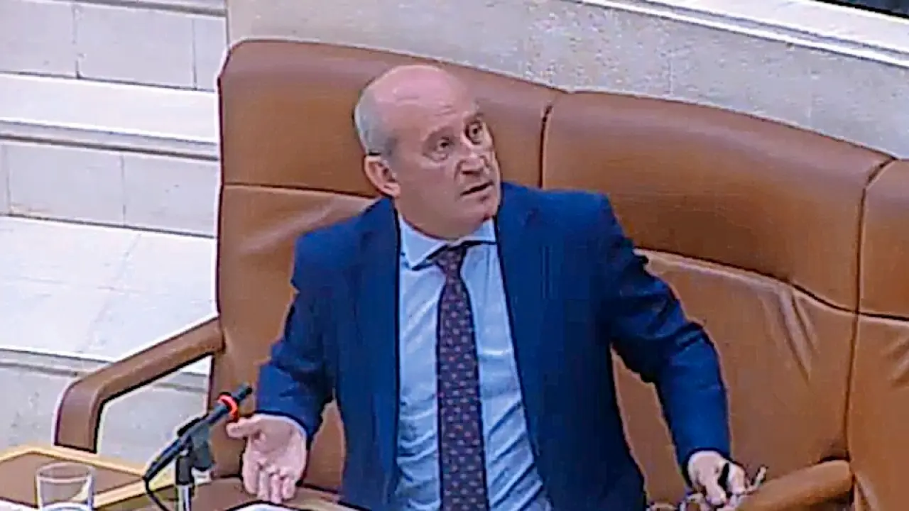El director general de MARE, Jos&eacute; Mar&iacute;a D&iacute;az durante su comparecencia en el Parlamento de Cantabria. / ALERTA