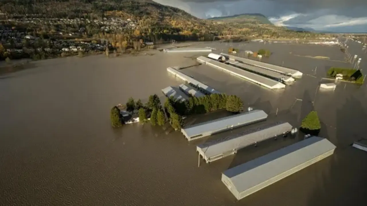 Graneros parcialmente sumergidos en Abbotsford, Columbia Brit&aacute;nica, una de las &aacute;reas de cultivo m&aacute;s intensivo de Canad&aacute;. Fotograf&iacute;a: Jonathan Hayward / AP