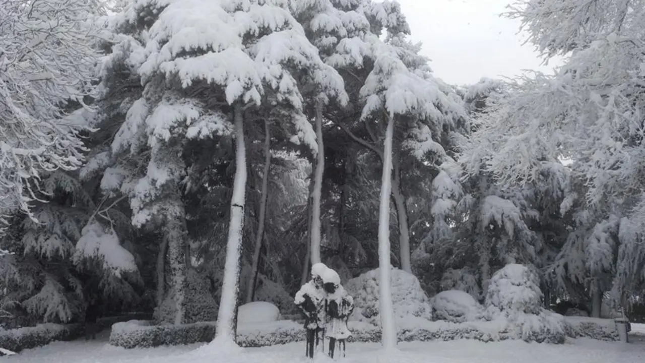 Vista de un parque nevado en Zaragoza, este domingo, cuando la Agencia Estatal de Meteorolog&iacute;a (Aemet) mantiene activada las alertas por nevadas, de nivel naranja en el Pirineo y las Cinco Villas, por riesgo de aludes y por fuertes rachas de viento en varias zonas de Arag&oacute;n. EFE/ Lourdes Sarsa