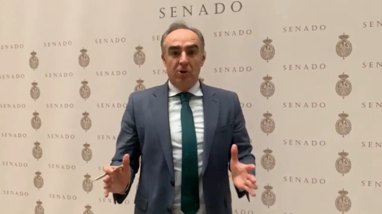 El senador del PP por Cantabria, Javier Puente. / ALERTA