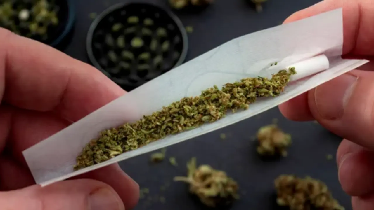 Cannabis