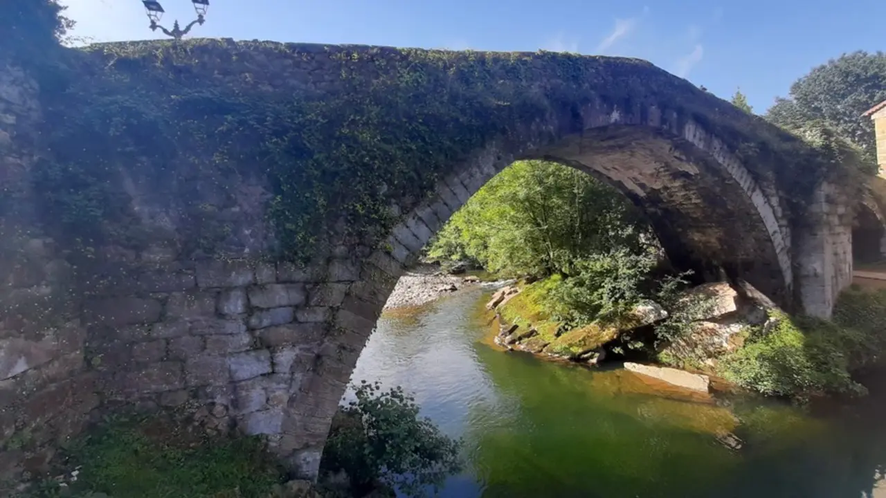 Vista del puente de Li&eacute;rganes. / EP