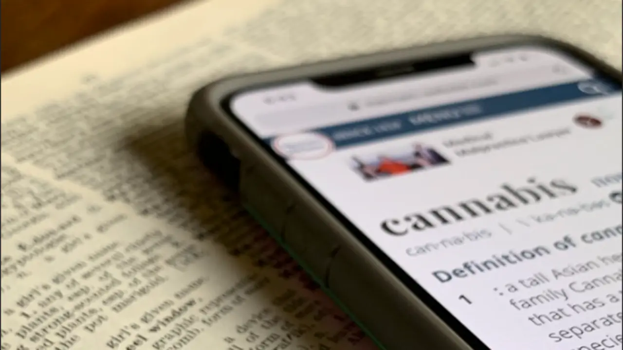 cannabis
