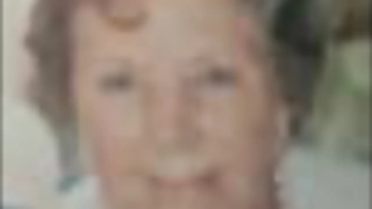 Do&ntilde;a Pilar  D&iacute;ez Y&aacute;&ntilde;ez