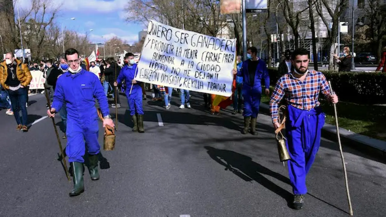 Los ganaderos c&aacute;ntabros durante la &uacute;ltima manifestaci&oacute;n por las calles de Madrid. / R. ZUBELZU