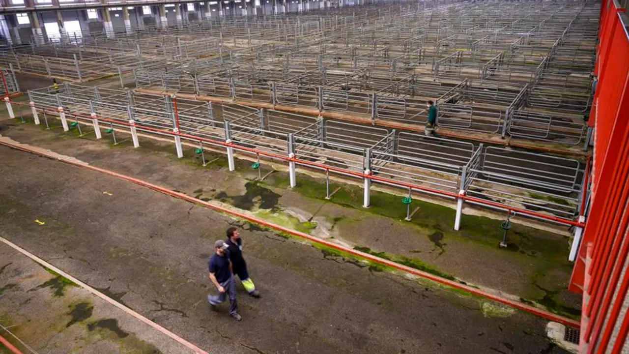 El Mercado de Ganados de Torrelavega se ha quedado este martes sin actividad. EFE/Pedro Puente Hoyos