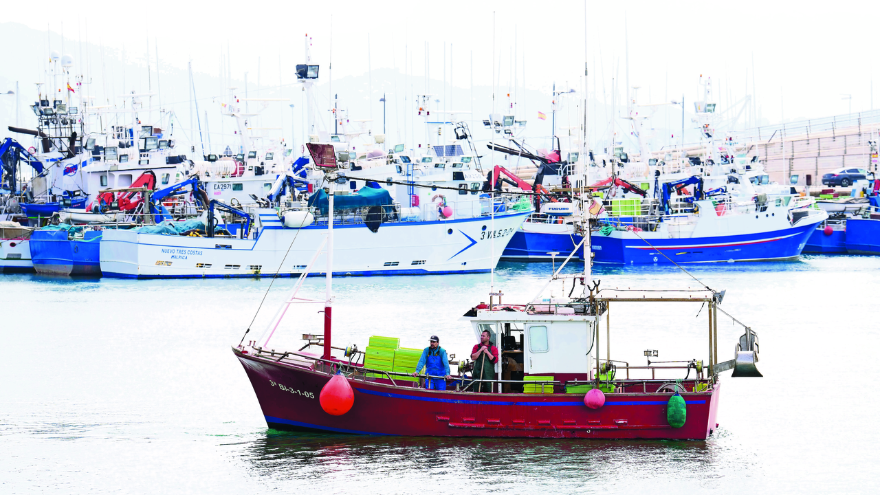 Barcos pesqueros en el puerto de Santo&ntilde;a. / E.P.