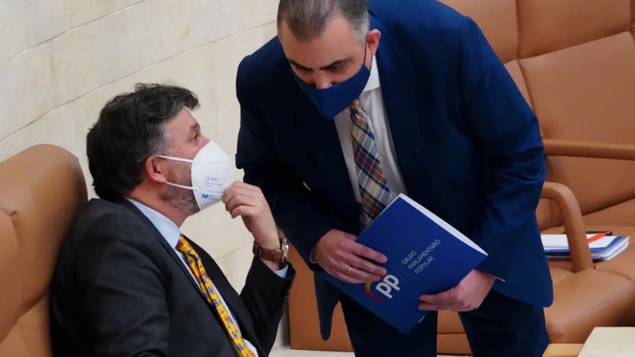 El diputado Crist&oacute;bal Palacio de Vox en el Parlamento de Cantabria. / ALERTA