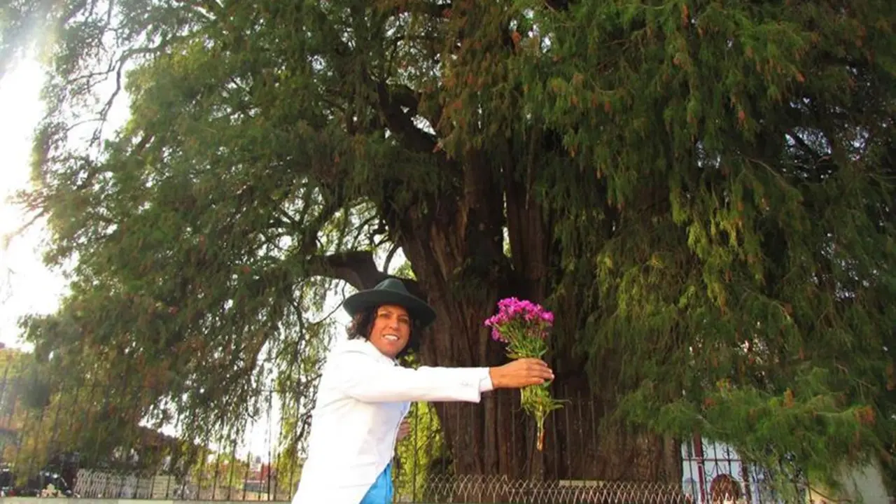 El actor peruano Richard Torres se casar&aacute; simb&oacute;licamente con un "ahuehete" o cipr&eacute;s mexicano en el madrile&ntilde;o Parque de El Retiro, en v&iacute;speras de que se celebre el D&iacute;a de la Tierra. EFE/Richard Torres/Foto cedida