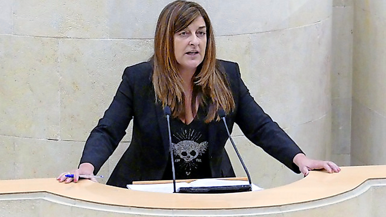 La presidenta del PP, Mar&iacute;a Jos&eacute; S&aacute;enz de Buruaga durante la sesi&oacute;n parlamentaria. / alerta