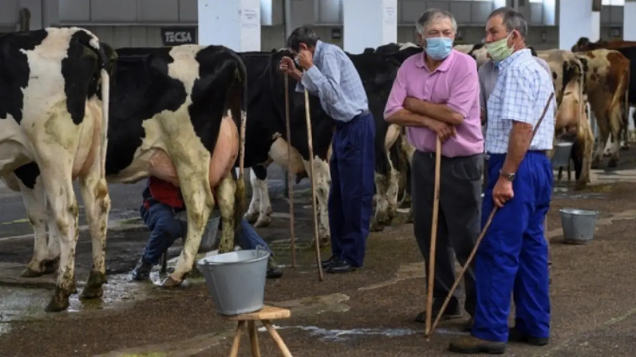 Varios ganaderos en la Feria de Ganado de Torrelavega. / ALERTA