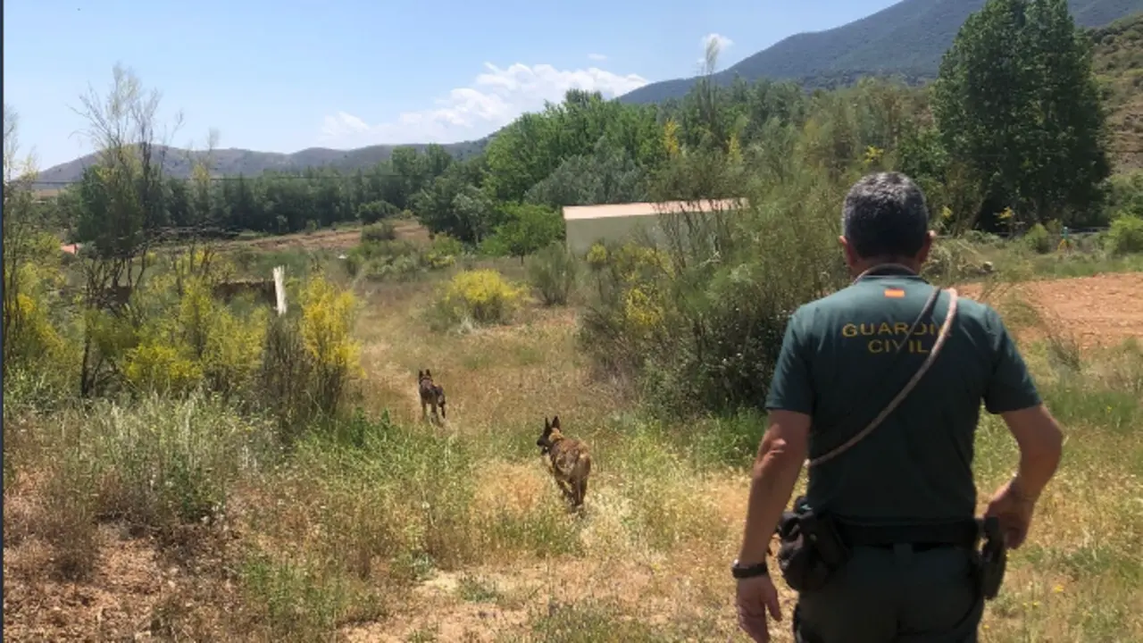 La Guardia CIvil durante las labores de b&uacute;squeda en Jarque de Moncayo.