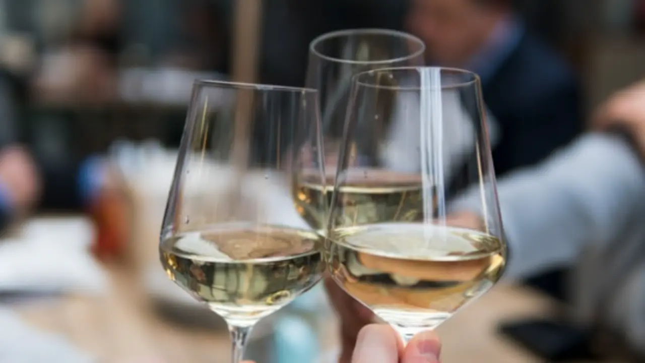 vinotecashop