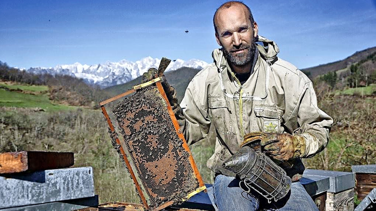Rub&eacute;n Varona cuenta con unas 400 colmenas en sus fincas de Colmenares de Vendejo a los pies de los Picos de Europa. / DAVID VARONA
