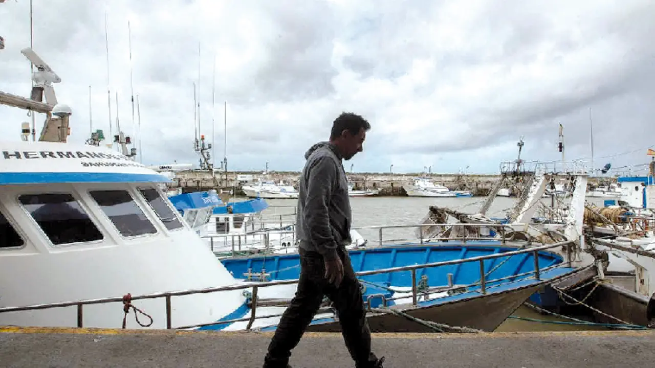 Flota pesquera amarrada en un puerto costero. / Rom&aacute;n R&iacute;os