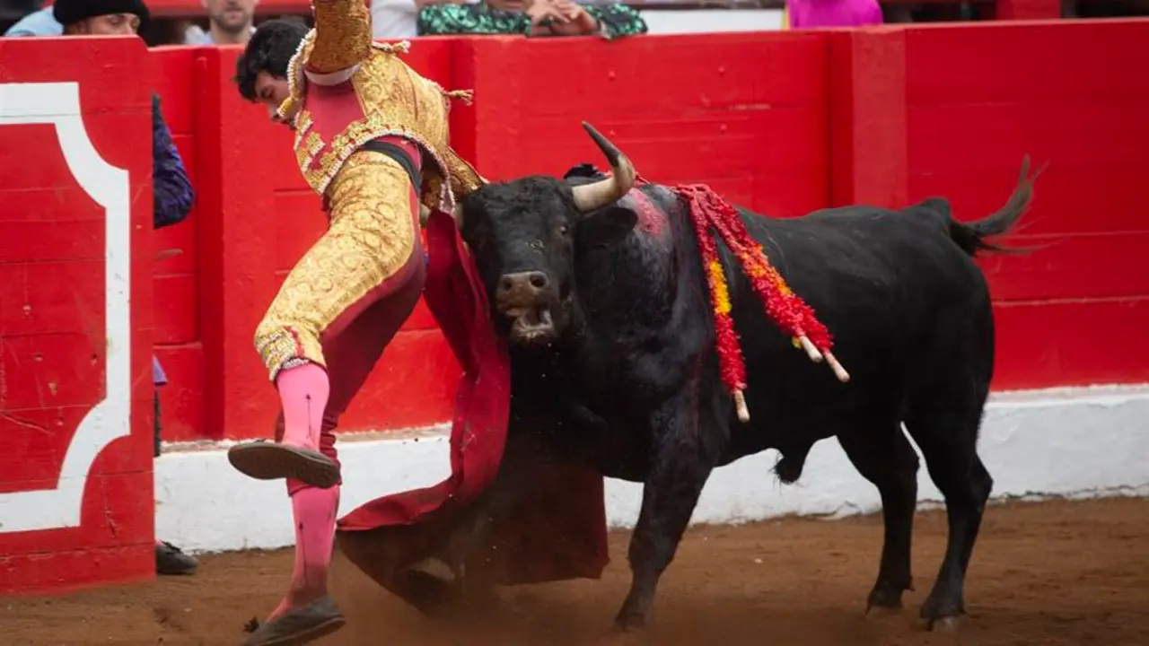 El novillero Isaac Fonseca, sufre una cogida sin consecuencias durante la novillada celebrada en el segundo d&iacute;a de la Feria de Santiago, en la que ha compartido cartel con V&iacute;ctor Hern&aacute;ndez y Marcos Linares, con 6 novillos de N&uacute;&ntilde;ez Tarifa, este domingo en Santander. . EFE/Pedro Puente Hoyos