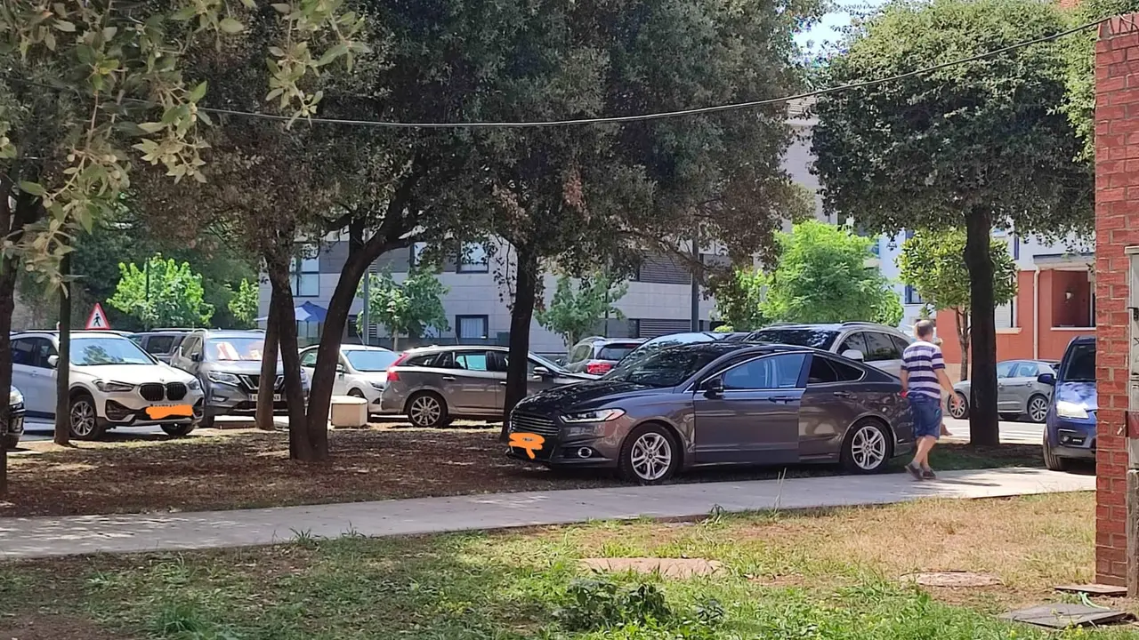 Un coche aparcado en mitad de una zona ajardinada en Ribamontan al Mar. / ALERTA