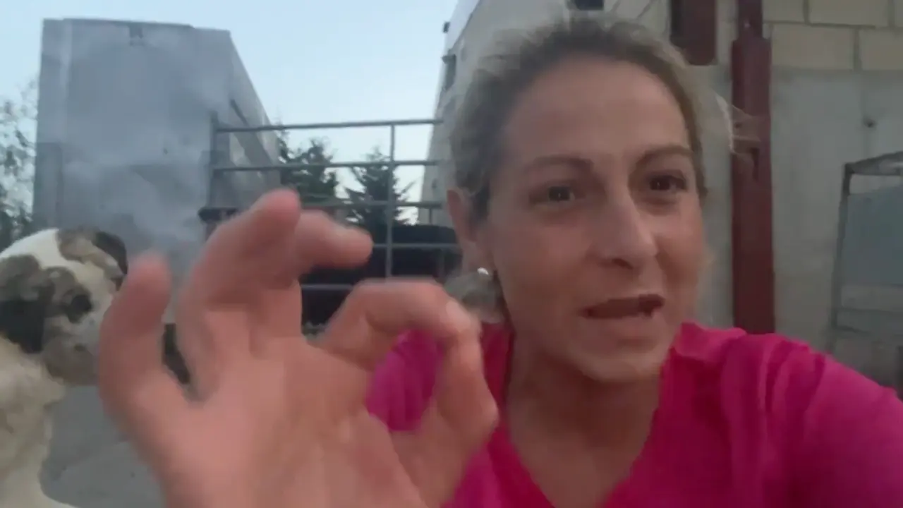 La diputada c&aacute;ntabra y ganadera Marta Garc&iacute;a durante su v&iacute;deo hacia los turistas. / FACEBOOK