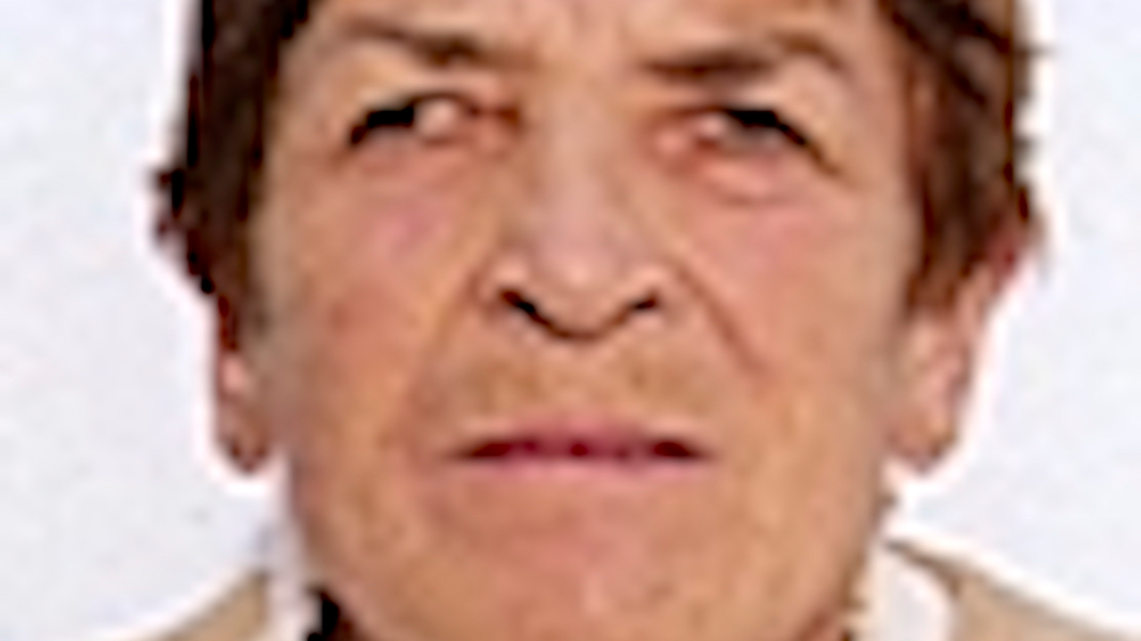 MARIA DEL CARMEN CARRAL PELAYO