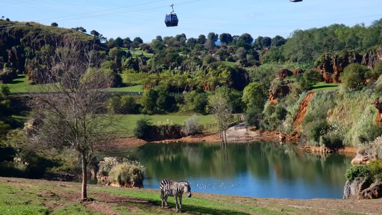 Parque de la Naturaleza de Cab&aacute;rceno. / EP