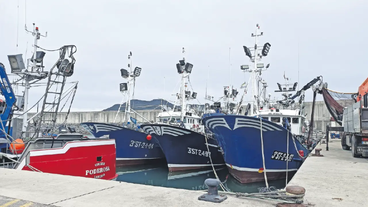 Barcos pesqueros amarrados a puerto en Laredo. / ALERTA