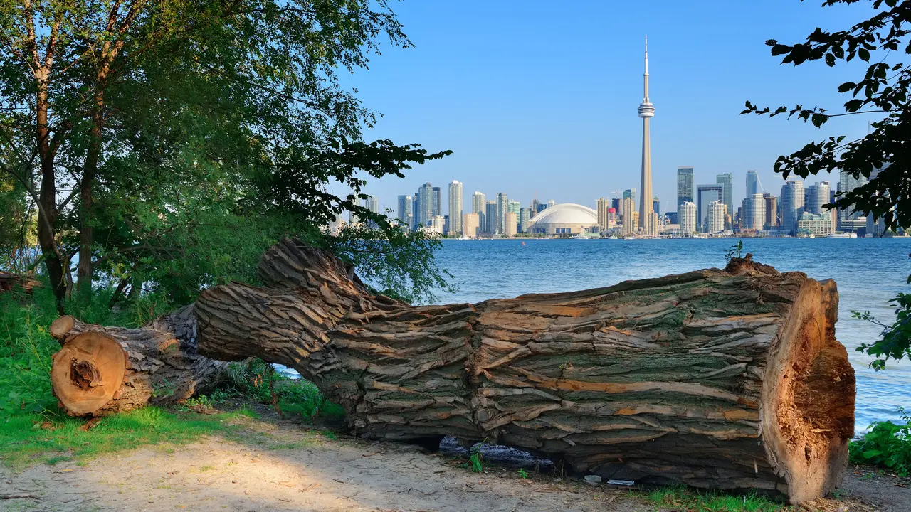 Horizonte de Toronto sobre un lago con la arquitectura urbana vista desde el parque.