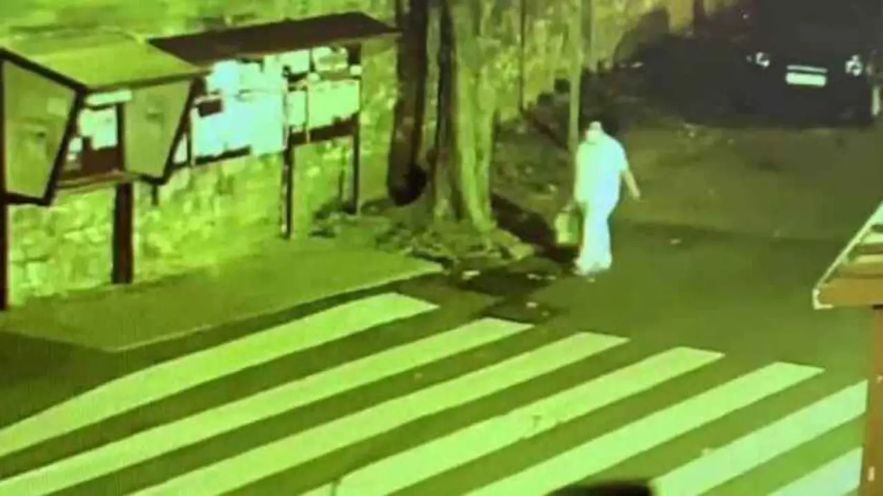 Imagen de la secuestradora vestida de sanitaria entrando al Hospital de Basurto.