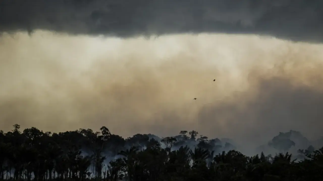 Vista de incendios en Careiro da V&aacute;rzea (Brasil), en una fotograf&iacute;a de archivo. EFE/Raphael Alves