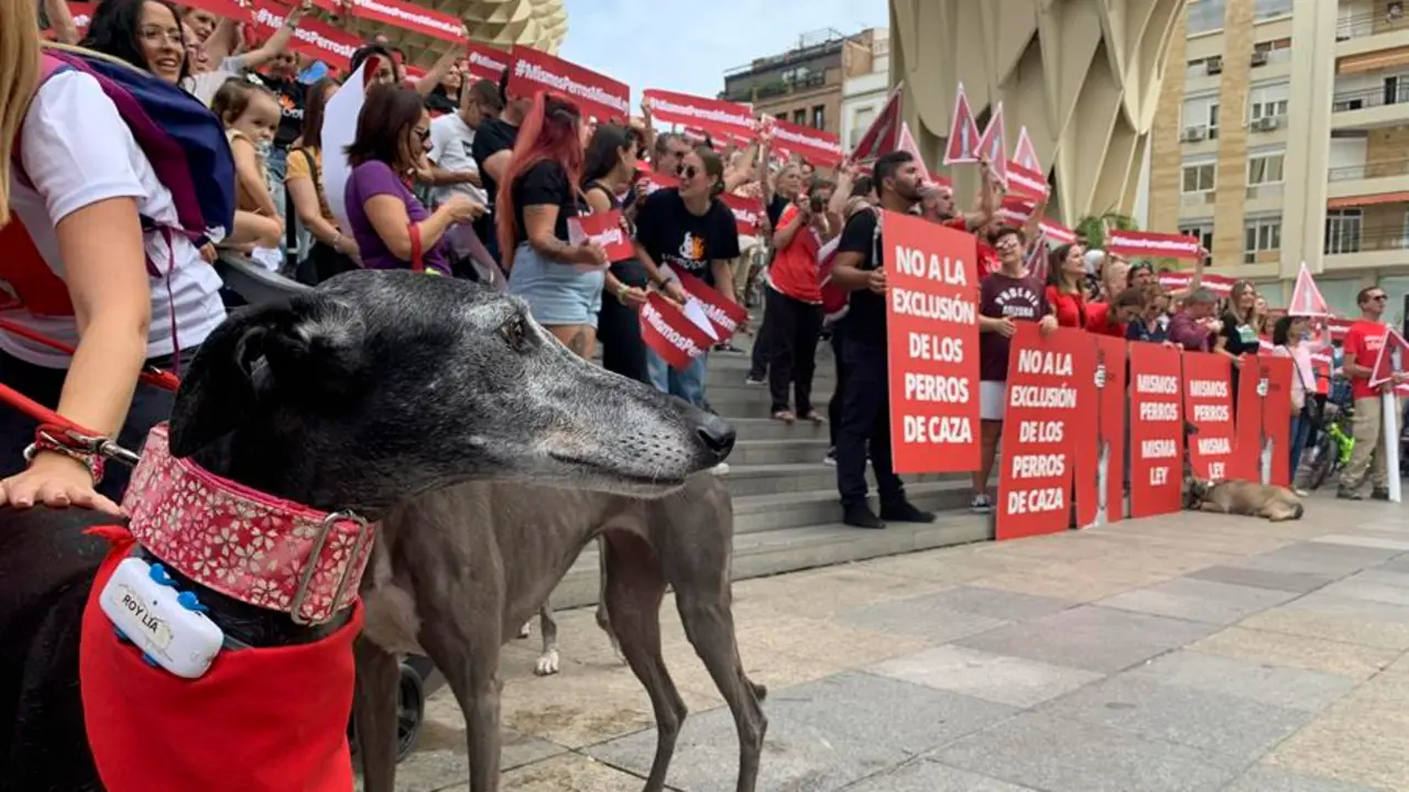 En la imagen de archivo, participantes en una concentraci&oacute;n contra la nueva ley animal. EFE/Ferm&iacute;n Cabanillas