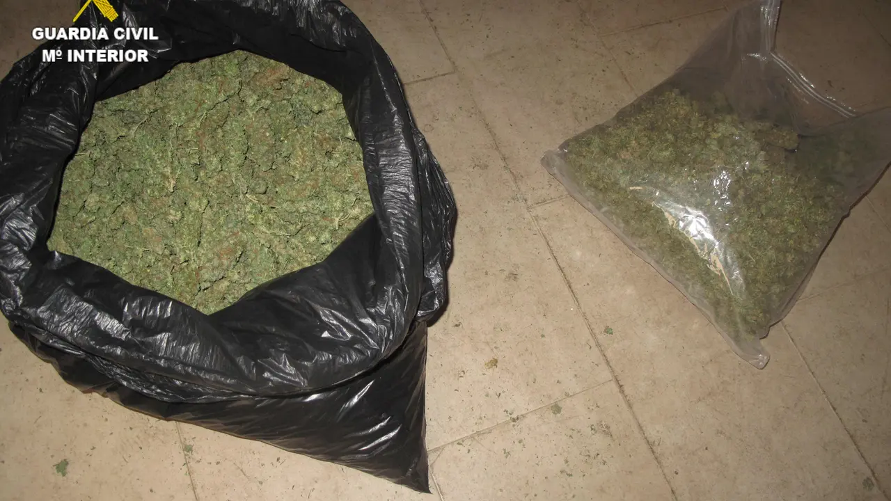 Marihuana intervenida por la Guardia Civil. / E.P.
