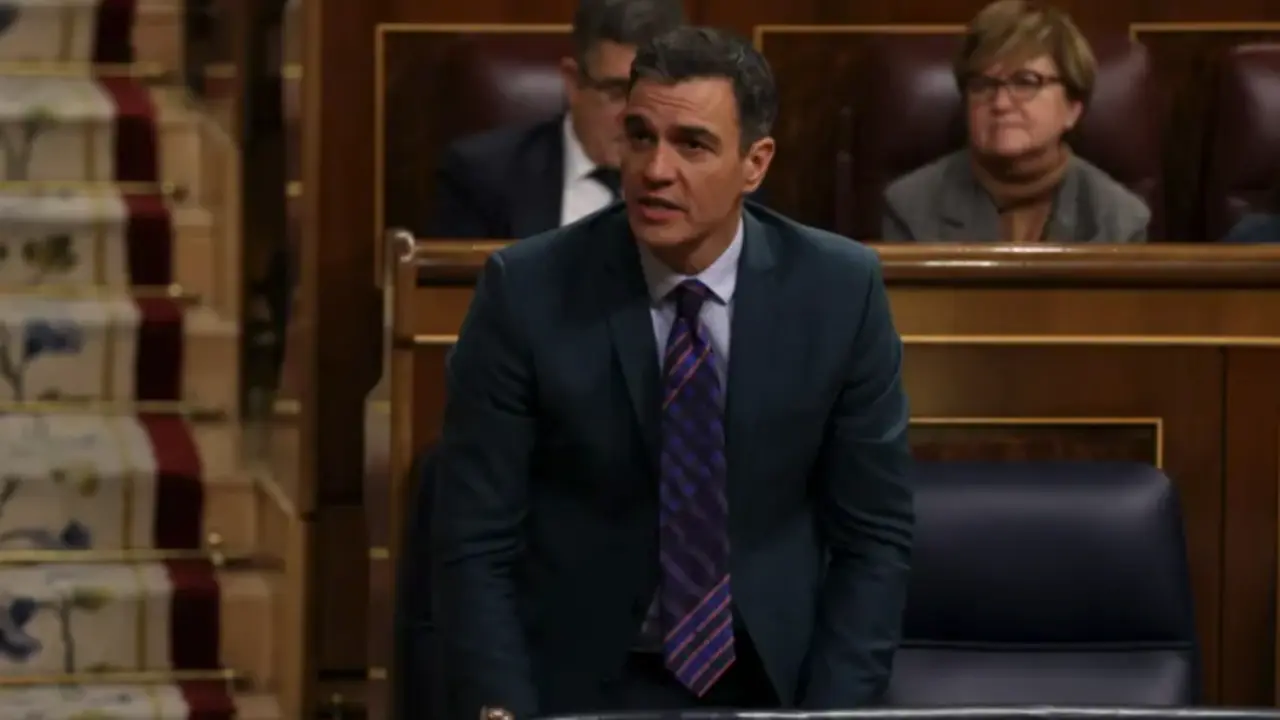 El presidente del Gobierno, Pedro S&aacute;nchez, en el pleno del Congreso. EFE/Kiko Huesca