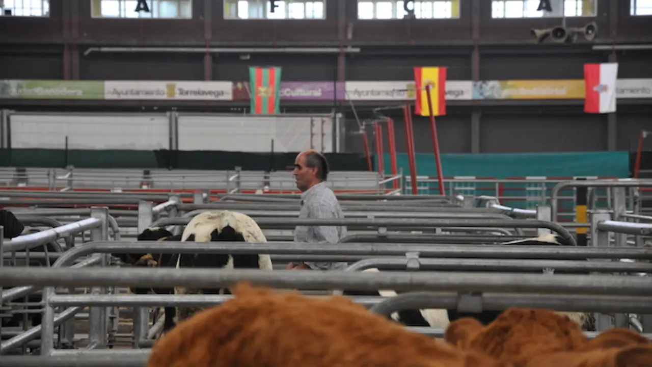 Un hombre por el Mercado Nacional de Ganados en Torrelavega. / ALERTA