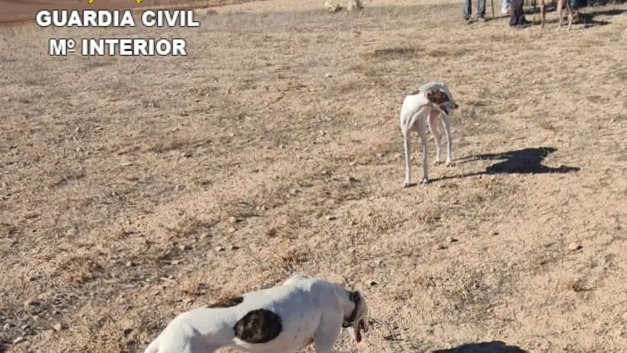 La Guardia Civil se ha desplazado hasta el lugar del suceso. E.P.