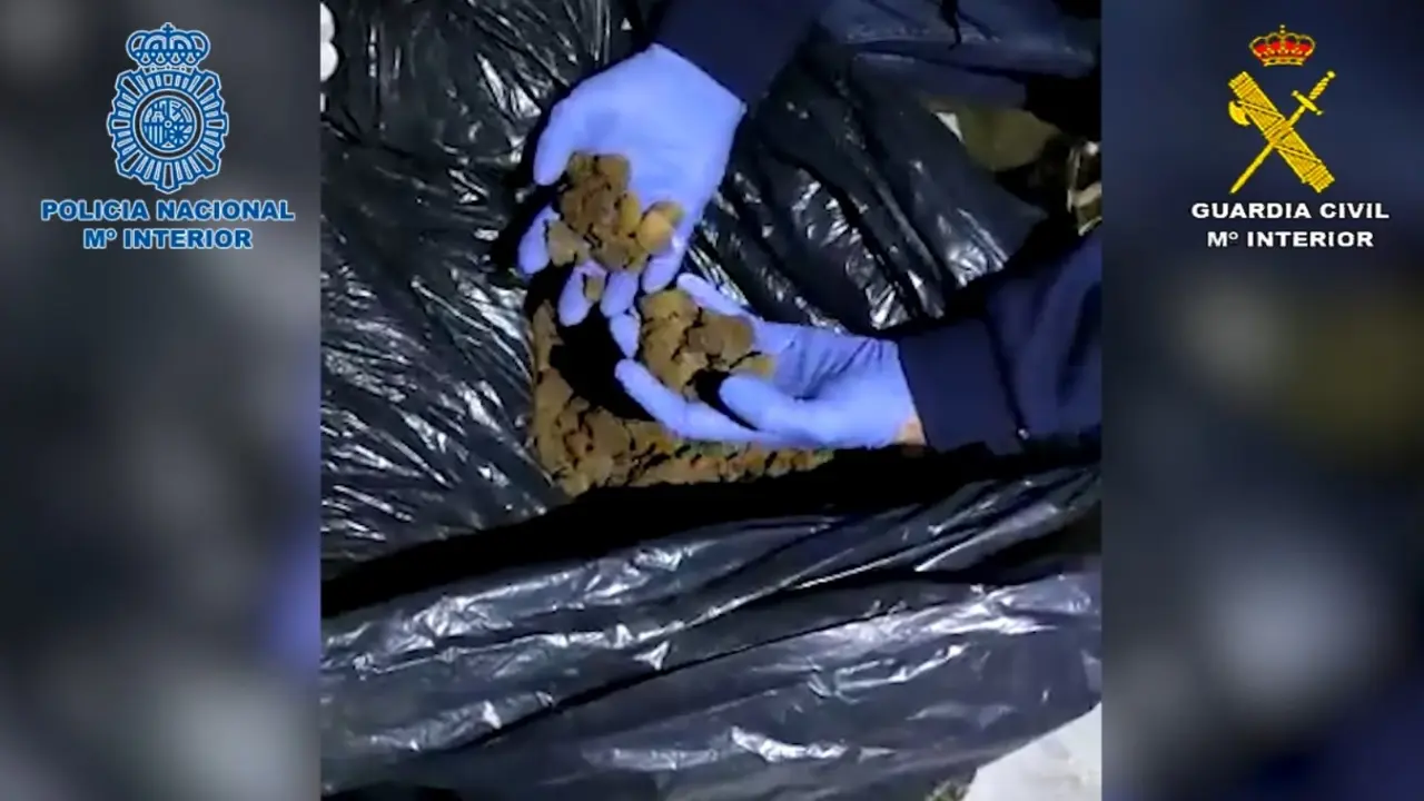 En los registros se intervinieron, 70 kilogramos de hach&iacute;s. E.P.