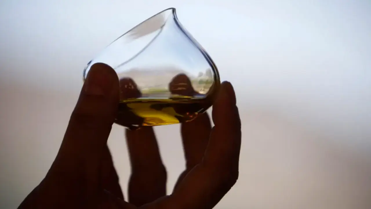 Imagen de archivo de una cata de aceite de denominaci&oacute;n de origen Priego de C&oacute;rdoba (C&oacute;rdoba). / Salas