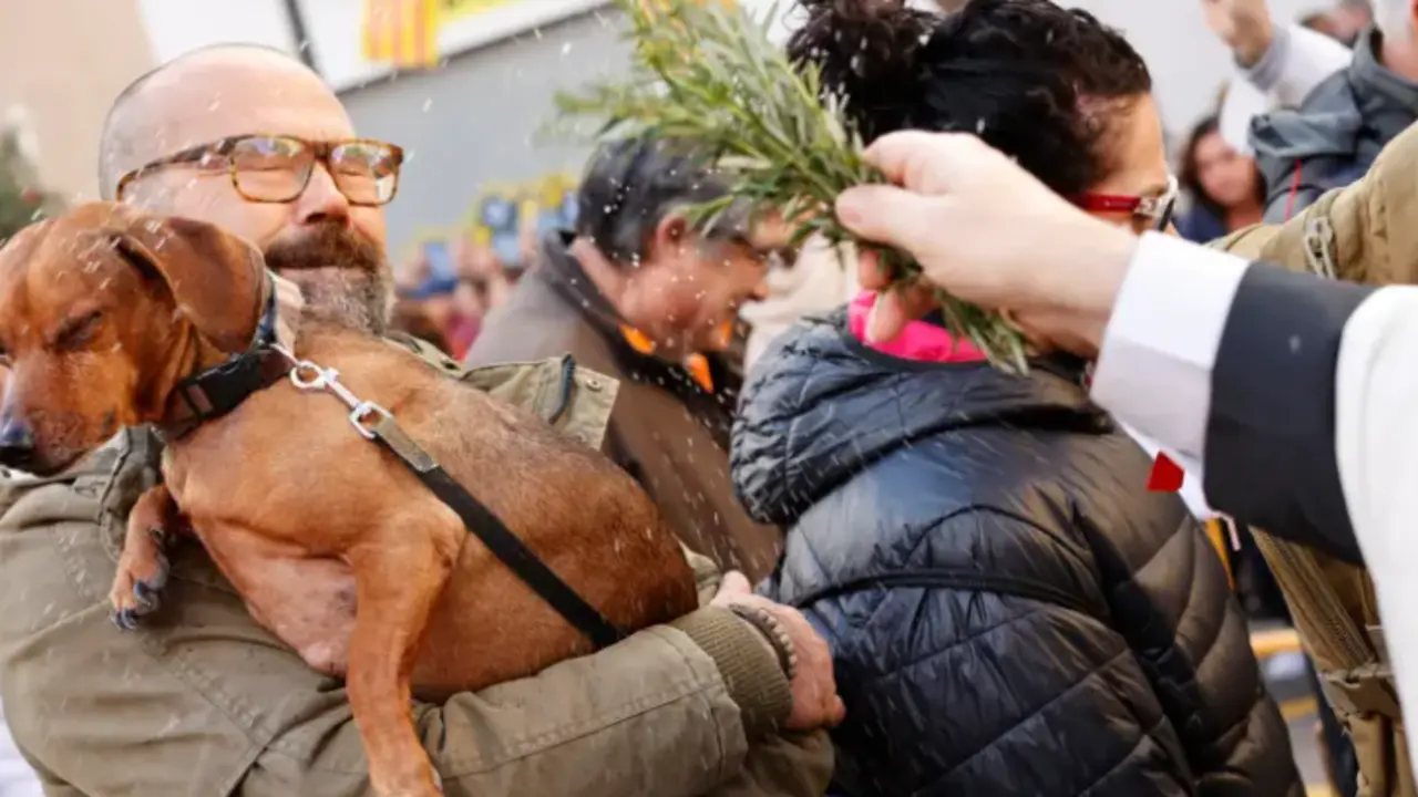 La parroquia valenciana de San Antonio Abad acoge, ya sin restricciones por la pandemia, la tradicional bendici&oacute;n y desfile de animales.EFE/ Biel Ali&ntilde;o