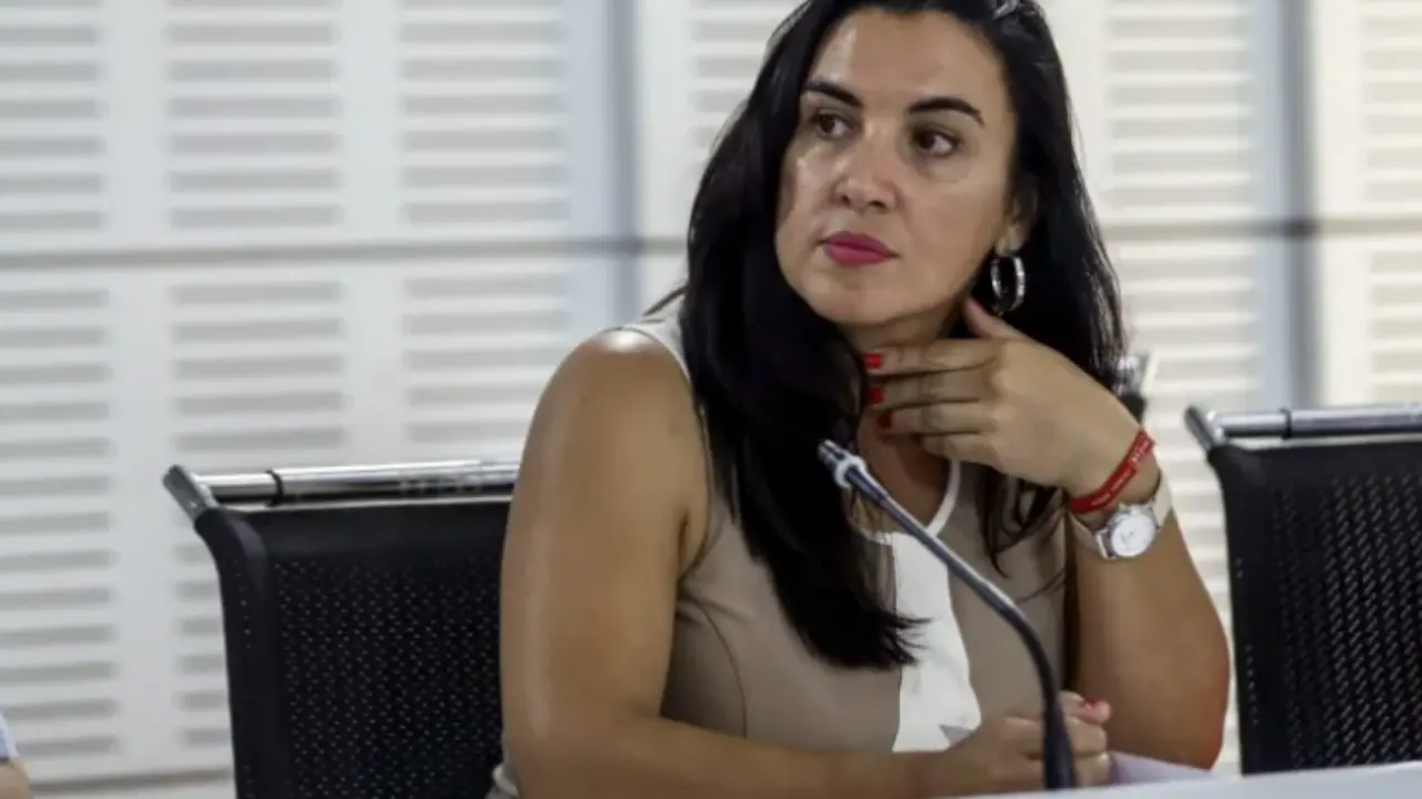La eurodiputada del PSOE, M&oacute;nica Silvana Gonz&aacute;lez. EFE / Emilio Naranjo