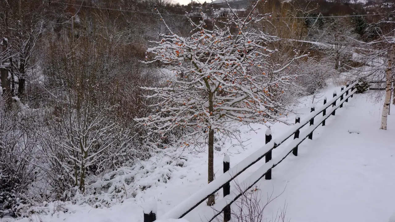 Nieve caída en Reinosa. / EP / Archivo