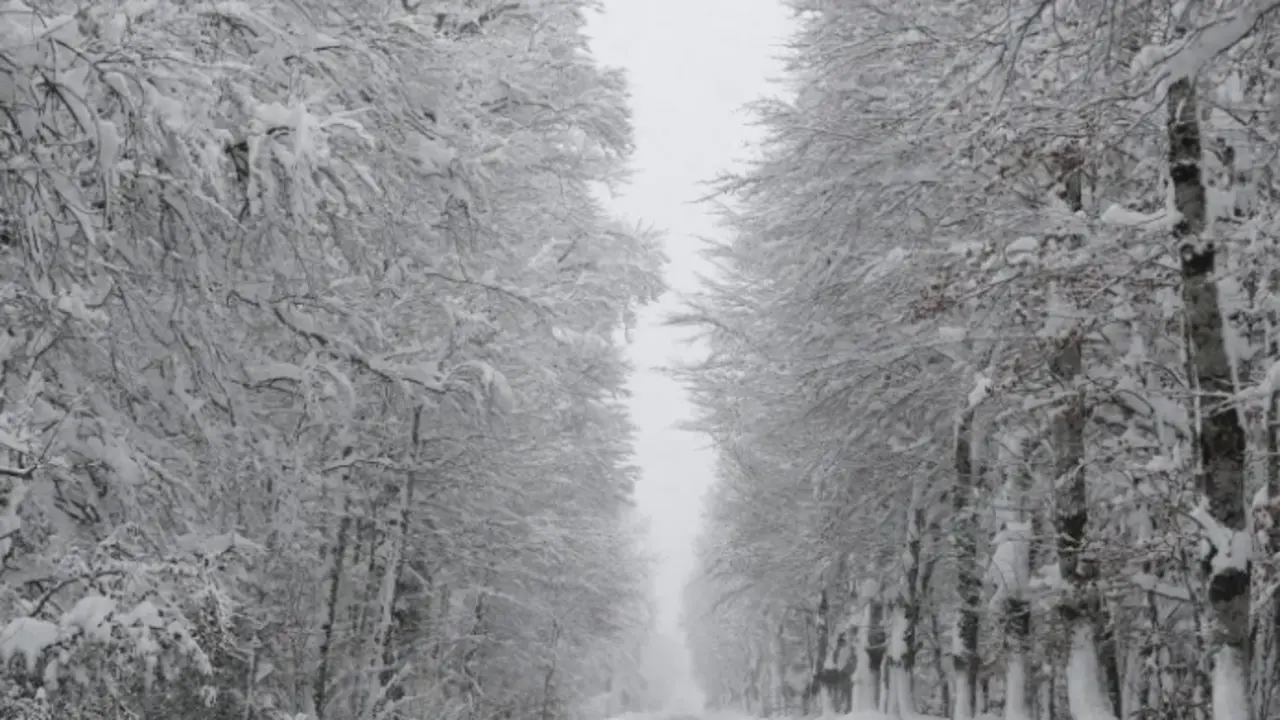 Una carretera de Roncesvalles (Navarra) cubierta por la nieve. EFE/Villar L&oacute;pez