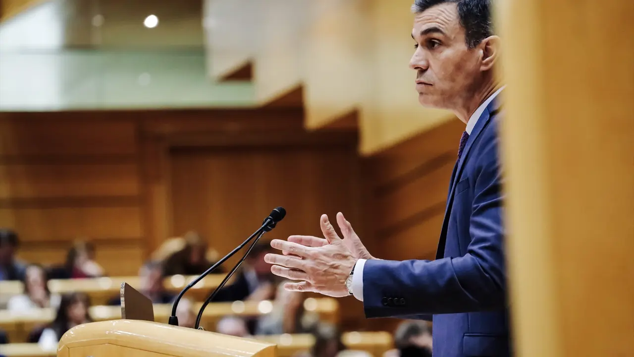 El presidente del Gobierno, Pedro S&aacute;nchez, comparece ante el Pleno del Senado. E.P. / Carlos Luj&aacute;n