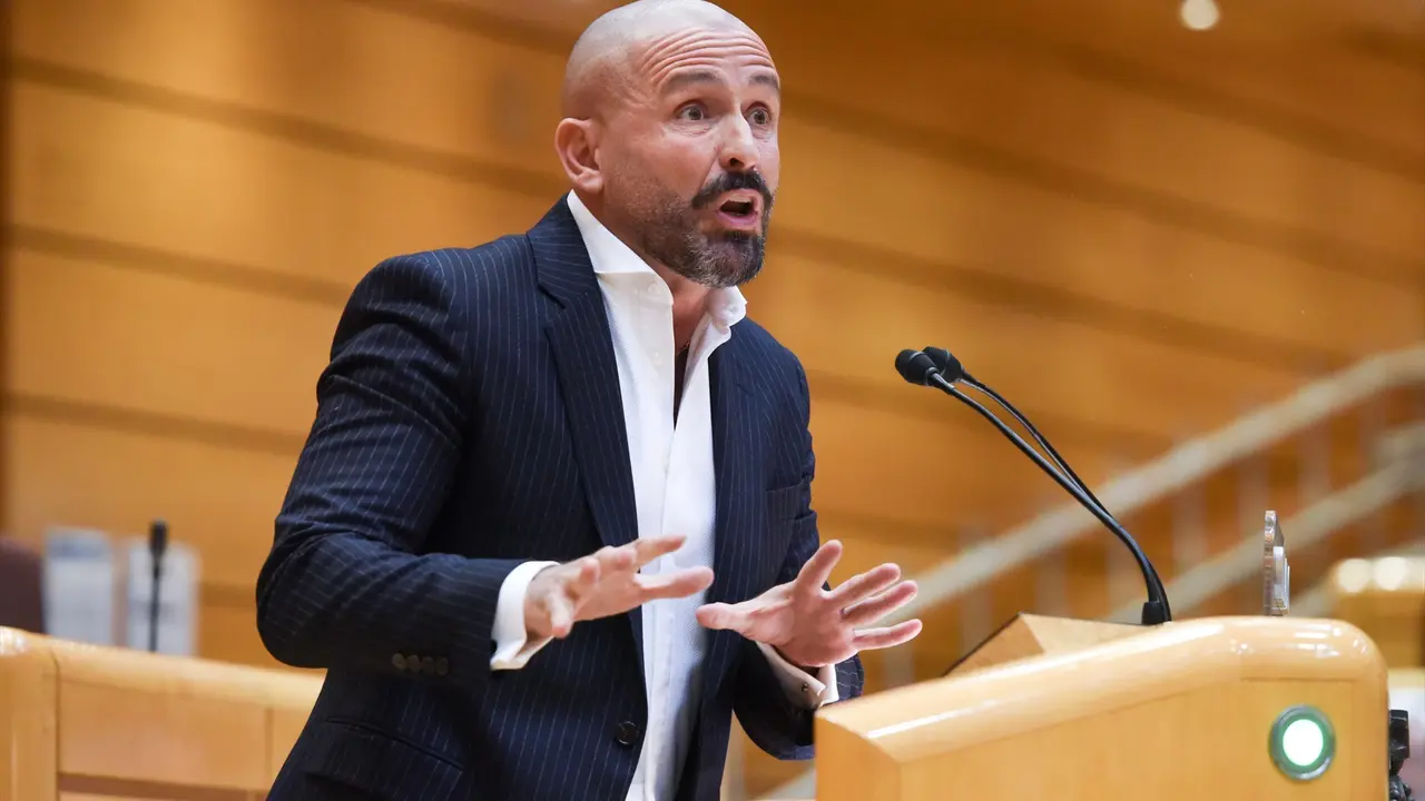 El diputado del PP, Jaime Miguel de los Santos Gonz&aacute;lez, interviene durante una sesi&oacute;n plenaria. E.P. / Gustavo Valiente