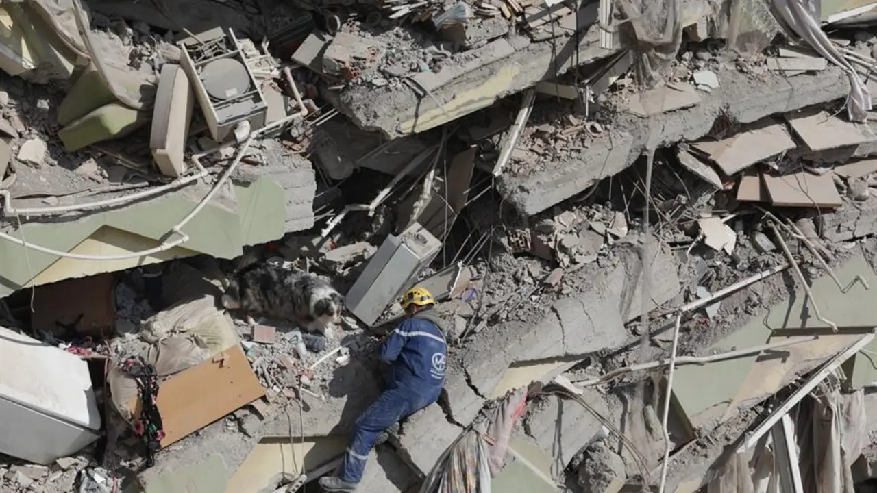 El equipo de rescate franc&eacute;s Corps Mondial de Secours con su perro de b&uacute;squeda busca supervivientes del terremoto. EFE / Abir Sultan