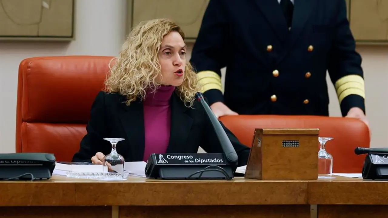 La presidenta del Congreso, Meritxell Batet. EFE / Javier Lizon