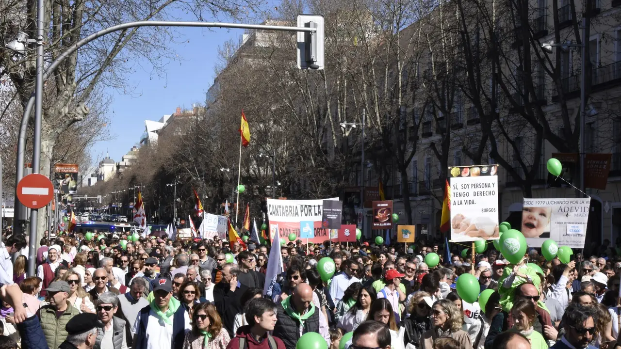 La manifestaci&oacute;n en Madrid congreg&oacute; a cientos de personas. / R. Zubelzu
